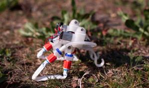 Crean un robot blando que no necesita de gran tecnología, solo de la Física