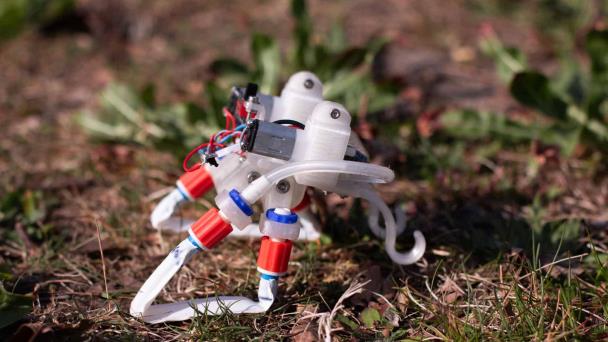 Crean un robot blando que no necesita de gran tecnología, solo de la Física
