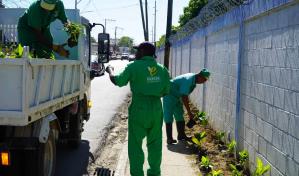 La Digecac siembra más de 1,200 plantas en la pared de la Fuerza Aérea