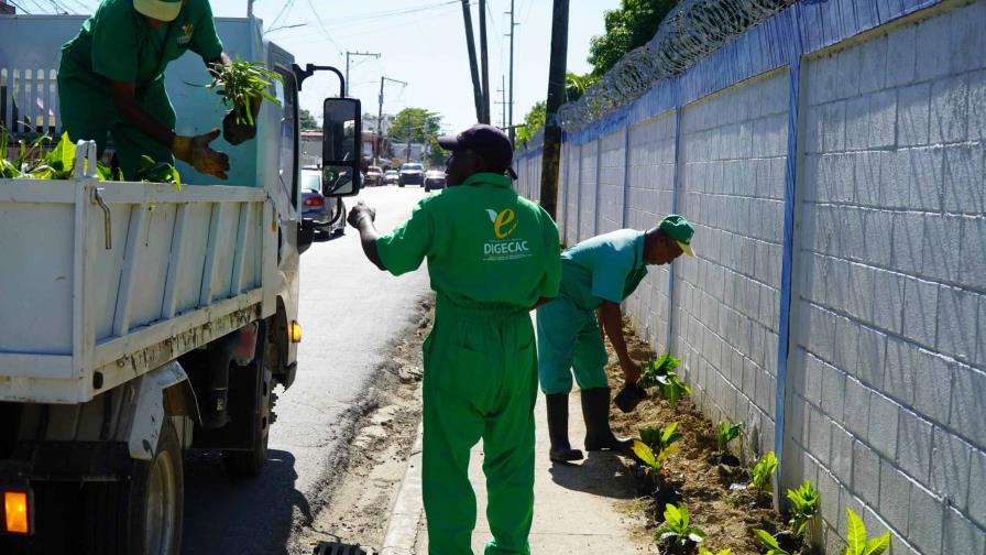 La Digecac siembra más de 1,200 plantas en la pared de la Fuerza Aérea La Digecac siembra más de 1,200 plantas en la pared de la Fuerza Aérea