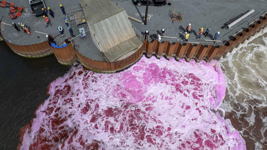 ¿Descargas en el océano o solución climática? Empresas apuestan por capturar carbono en el mar ¿Descargas en el océano o solución climática? Empresas apuestan por capturar carbono en el mar