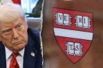 Jueza bloquea temporalmente revocación de permiso para matricular estudiantes extranjeros en Harvard
