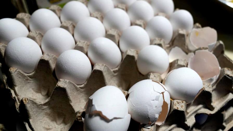 Precios de huevos en EE. UU. bajan por primera vez en meses, pero siguen cerca de máximos históricos Precios de huevos en EE. UU. bajan por primera vez en meses, pero siguen cerca de máximos históricos