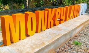 Se roban tres monos, dinero y una escopeta en asalto a empresa ecoturística de Puerto Plata