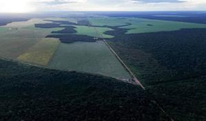 Brasil se prepara para recibir la COP30 en seis meses, con la agroindustria en el punto de mira
