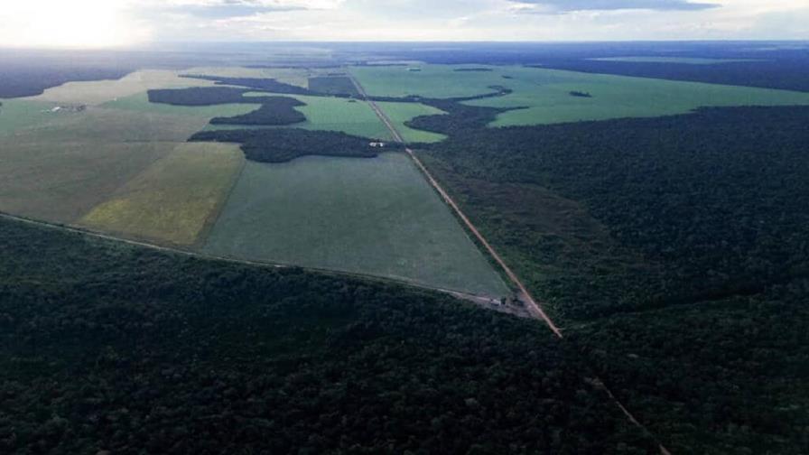 Brasil se prepara para recibir la COP30 en seis meses, con la agroindustria en el punto de mira Brasil se prepara para recibir la COP30 en seis meses, con la agroindustria en el punto de mira