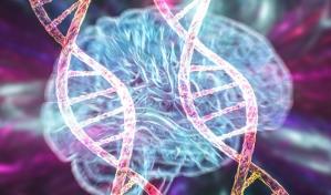 Descubren una nanoterapia con azúcar de plantas contra las enfermedades neurodegenerativas