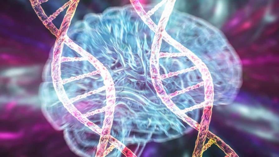 Descubren una nanoterapia con azúcar de plantas contra las enfermedades neurodegenerativas Descubren una nanoterapia con azúcar de plantas contra las enfermedades neurodegenerativas