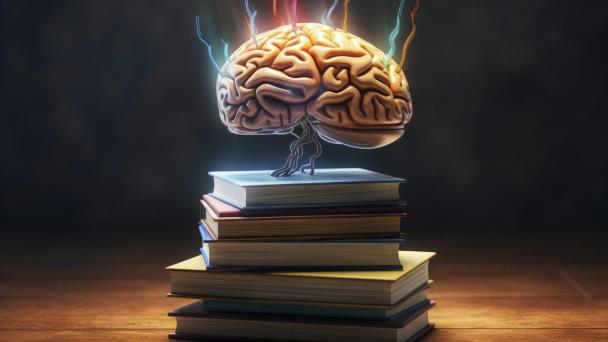 Un estudio descubre una nueva forma de aprendizaje del cerebro basada en el ensayo y error