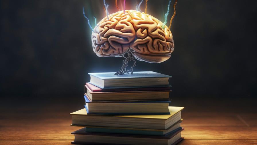 Un estudio descubre una nueva forma de aprendizaje del cerebro basada en el ensayo y error Un estudio descubre una nueva forma de aprendizaje del cerebro basada en el ensayo y error