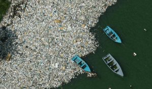 Un proyecto de ley busca eliminar el foam de un solo uso en un periodo de cinco años