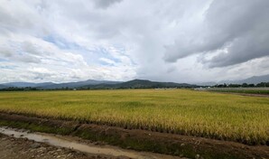 Ministro de Agricultura: "en nuestra gesti&oacute;n no ha sido necesario importar un solo quintal de arroz"