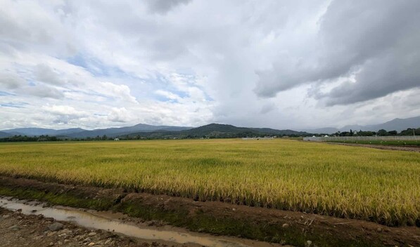 Gobierno deroga decreto que fijaba aranceles a la importaci&oacute;n de arroz