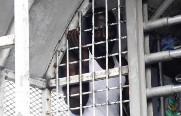 Migración dice que respeta los derechos humanos de extranjeros durante operativos y deportaciones