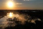 La Amazonía brasileña registró en 2024 la menor deforestación de los últimos seis años La Amazonía brasileña registró en 2024 la menor deforestación de los últimos seis años