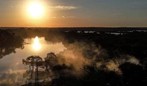 La Amazonía brasileña registró en 2024 la menor deforestación de los últimos seis años