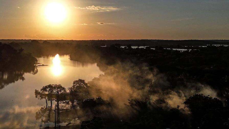 La Amazonía brasileña registró en 2024 la menor deforestación de los últimos seis años La Amazonía brasileña registró en 2024 la menor deforestación de los últimos seis años