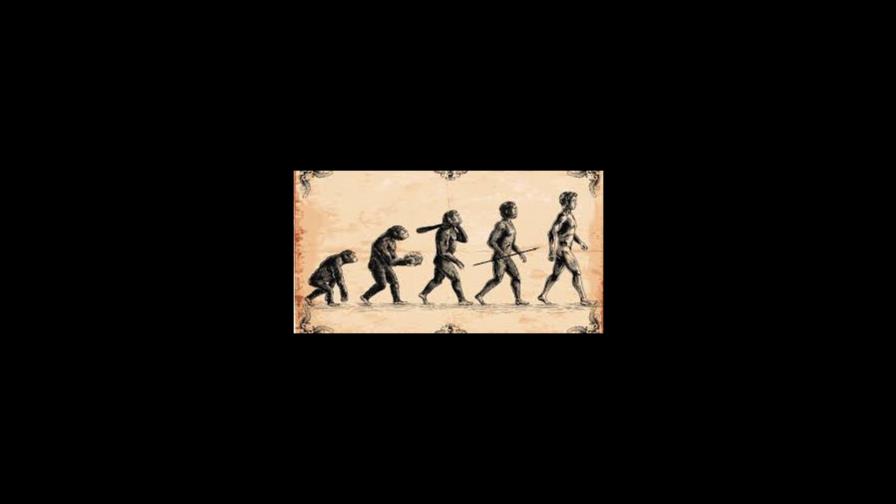 Ancestros humanos usaban las manos para trepar árboles y hacer herramientas, según nuevo estudio Ancestros humanos usaban las manos para trepar árboles y hacer herramientas, según nuevo estudio