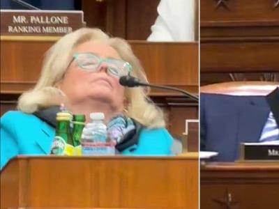 Representantes se quedan dormidos en el Congreso de EE. UU.