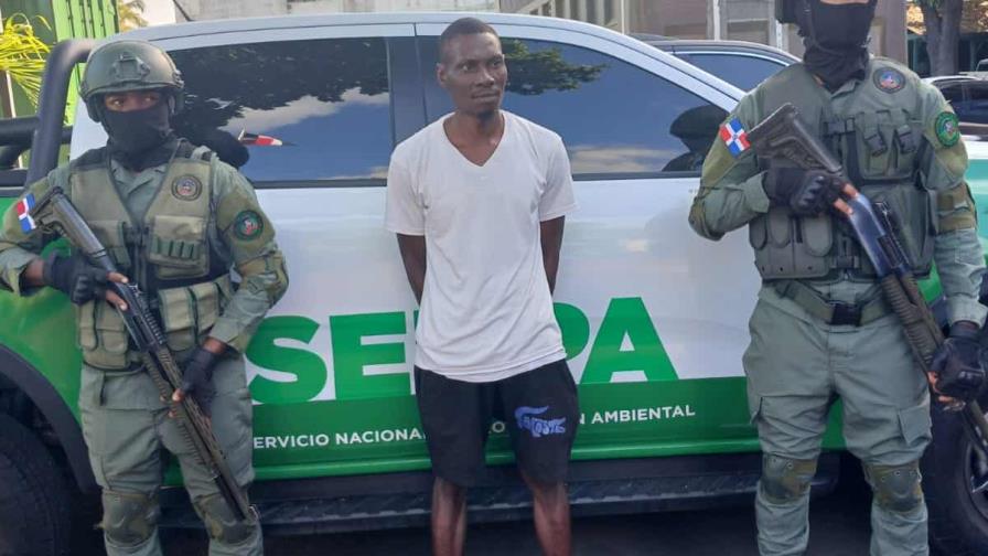 Arrestan a hombre imputado de matar a un tiburón en playa Guayacanes Arrestan a hombre imputado de matar a un tiburón en playa Guayacanes