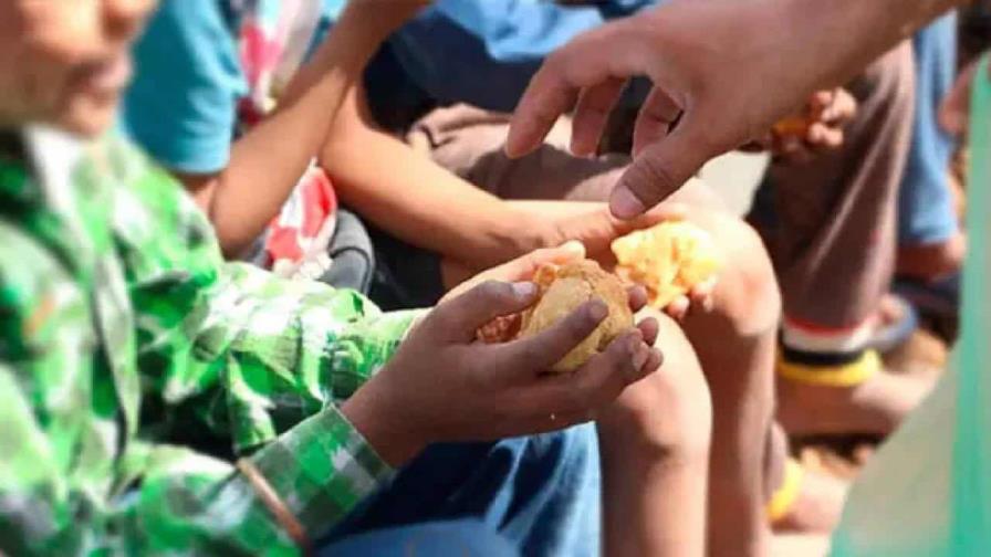 La inseguridad alimentaria aguda afectó a 295 millones de personas de 53 países en 2024 La inseguridad alimentaria aguda afectó a 295 millones de personas de 53 países en 2024