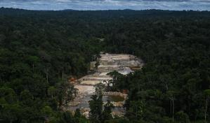 Oro manchado de sangre: La minería ilegal desangra a Perú y sacude a Sudamérica