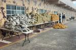 Interceptan camión cisterna con el mayor cargamento de presunta marihuana en la frontera Haití-RD