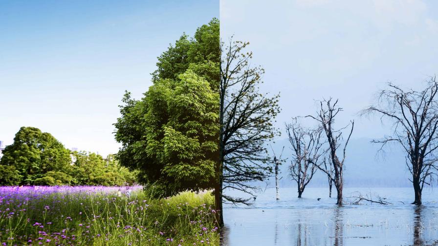 El cambio climático, la tercera causa de pérdida de diversidad, amenaza miles de especies El cambio climático, la tercera causa de pérdida de diversidad, amenaza miles de especies