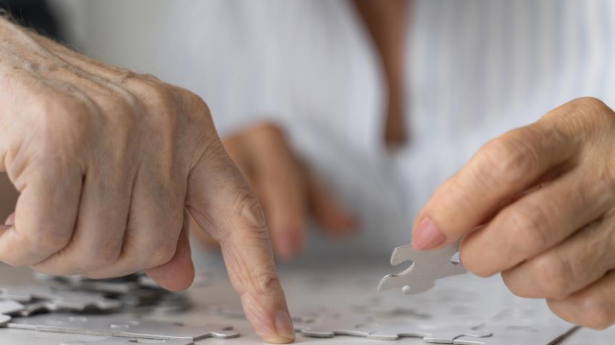 Identifican nuevas dianas genéticas para tratar el alzhéimer Identifican nuevas dianas genéticas para tratar el alzhéimer