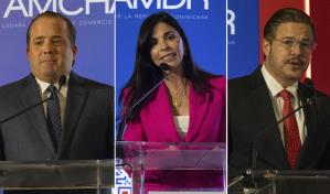 Paliza presenta el ambicioso plan Meta RD 2036