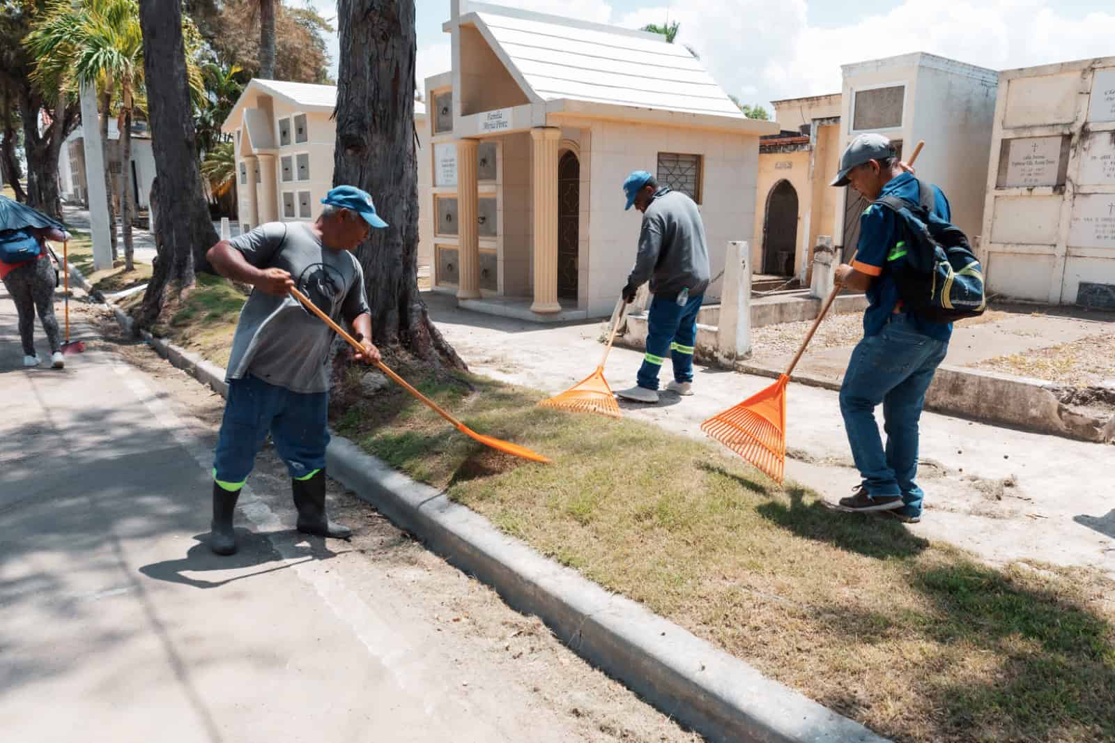 Brigadistas barren en el Cementerio Nacional.