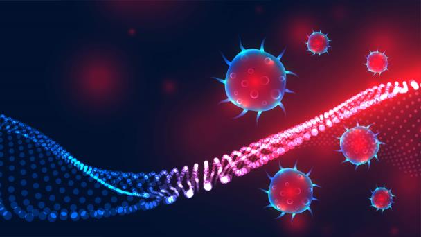 El ADN antiguo revela cómo un patógeno empezó a utilizar piojos para infectar humanos