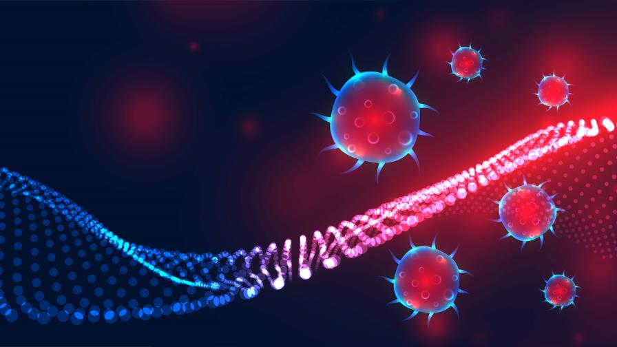 El ADN antiguo revela cómo un patógeno empezó a utilizar piojos para infectar humanos El ADN antiguo revela cómo un patógeno empezó a utilizar piojos para infectar humanos