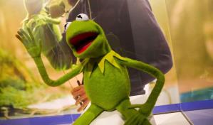 Saltemos juntos pide la Rana René en su discurso de graduación en la Universidad de Maryland Saltemos juntos pide la Rana René en su discurso de graduación en la Universidad de Maryland