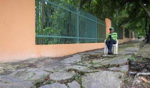 Raíces de árboles dañan aceras del parque la avenida Ecológica Profesor Juan Bosch