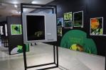 Museo de Historia Natural inaugura la exposición fotográfica "Enfoque Fauna" Museo de Historia Natural inaugura la exposición fotográfica "Enfoque Fauna"