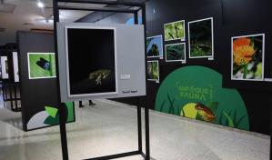 Museo de Historia Natural inaugura la exposición fotográfica "Enfoque Fauna"
