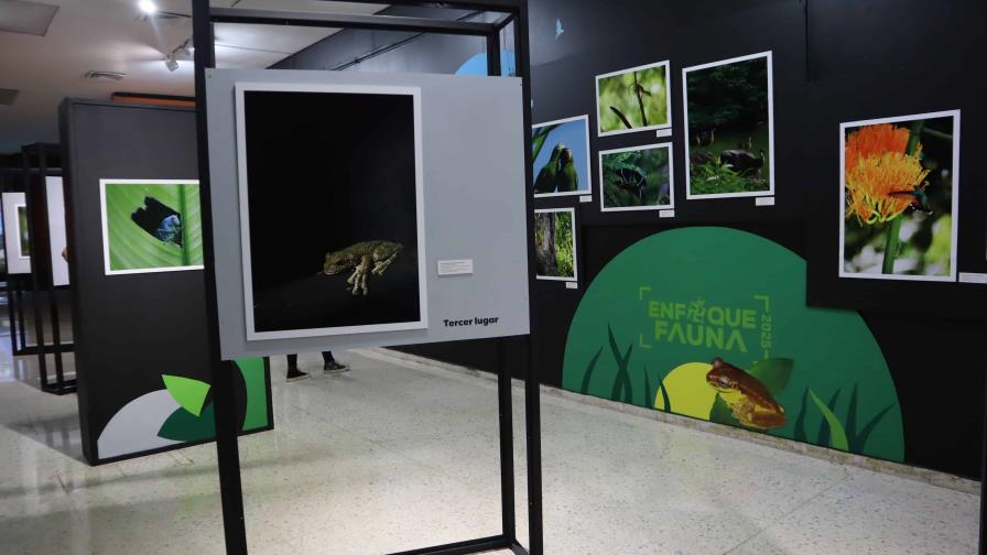 Museo de Historia Natural inaugura la exposición fotográfica "Enfoque Fauna" Museo de Historia Natural inaugura la exposición fotográfica "Enfoque Fauna"