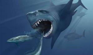 La dieta del megalodón: no solo vivía de ballenas