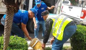 Retiran objetos que obstruyen parqueos en la vía pública luego de publicaciones de Diario Libre