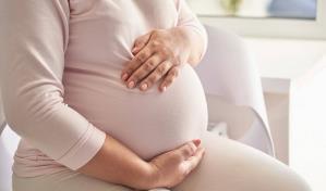 Las mujeres dominicanas en Nueva York tienen la tasa más alta de natalidad, asegura investigadora Las mujeres dominicanas en Nueva York tienen la tasa más alta de natalidad, asegura investigadora