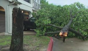 Fuertes tormentas en Texas dejan a miles sin electricidad