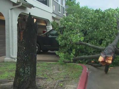 Tormentas en Texas dejan a miles sin electricidad