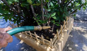 Reprograman trabajos el&eacute;ctricos y se mantiene el servicio de agua potable en SDE