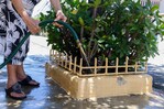 &iquest;Vives en SDE? Estos sectores tendr&aacute;n problemas con el agua