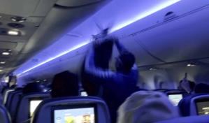 Vuelo de Delta retrasado porque dos palomas se colaron en un avión en Minneapolis
