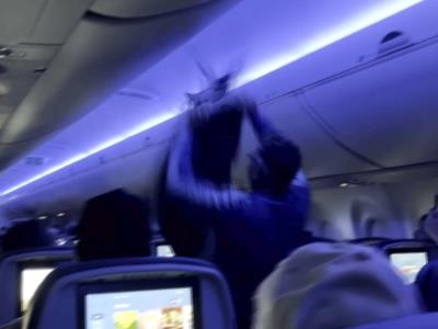 Vuelo de Delta retrasado porque palomas se colaron en un avión