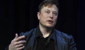 Musk lanza Grokipedia para competir con Wikipedia