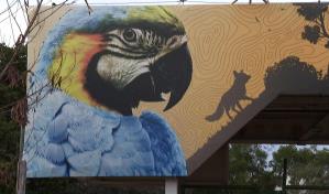 Zoológico de Brasilia cierra temporalmente por sospecha de gripe aviar