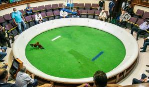 Dedicado a Edmond Elías Hermida torneo aniversario del coliseo Alberto Bonetti Burgos